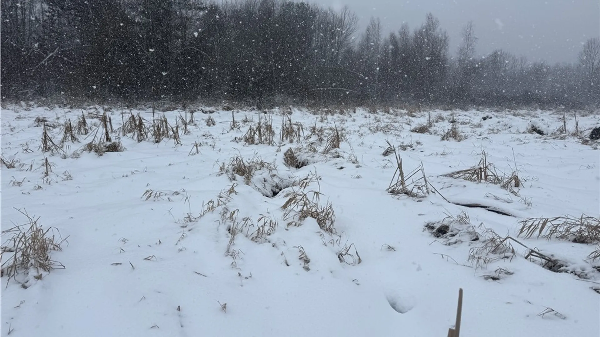 Property at Eddy Road, Theresa, NY 13691 30