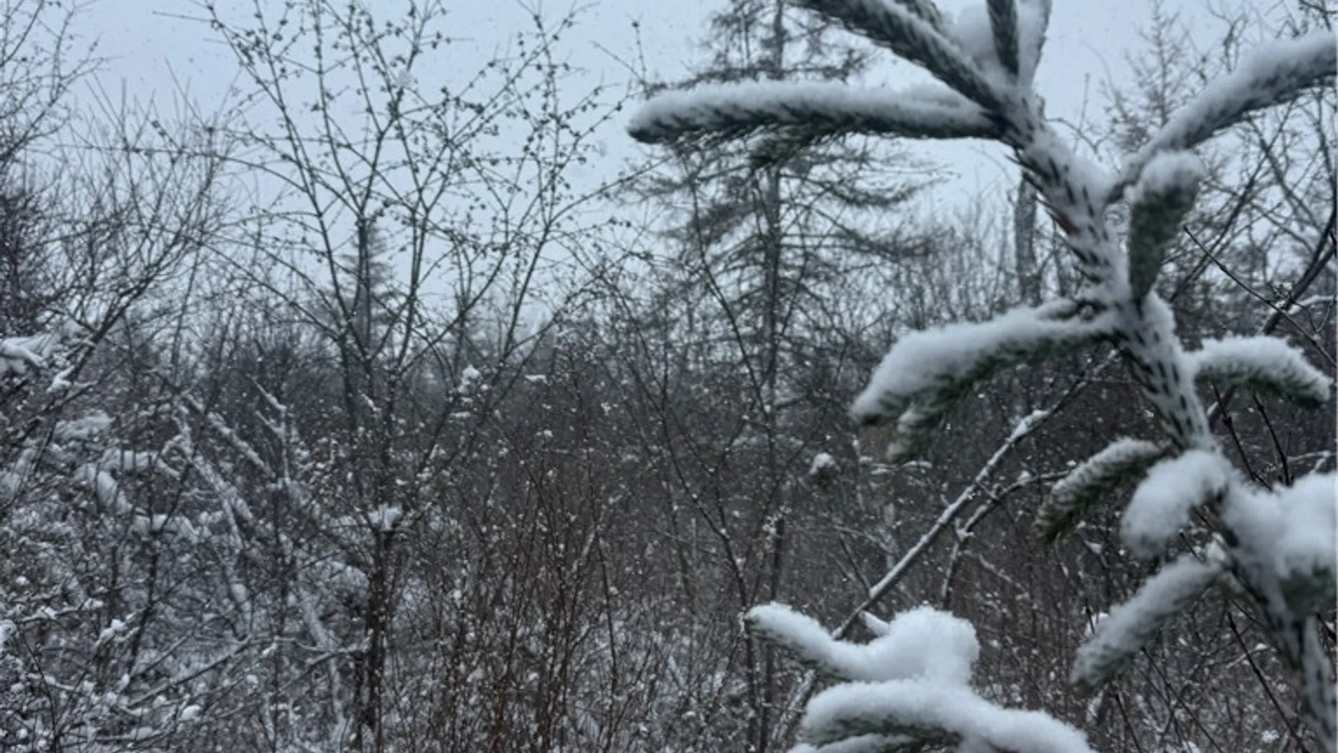 Property at Eddy Road, Theresa, NY 13691 31