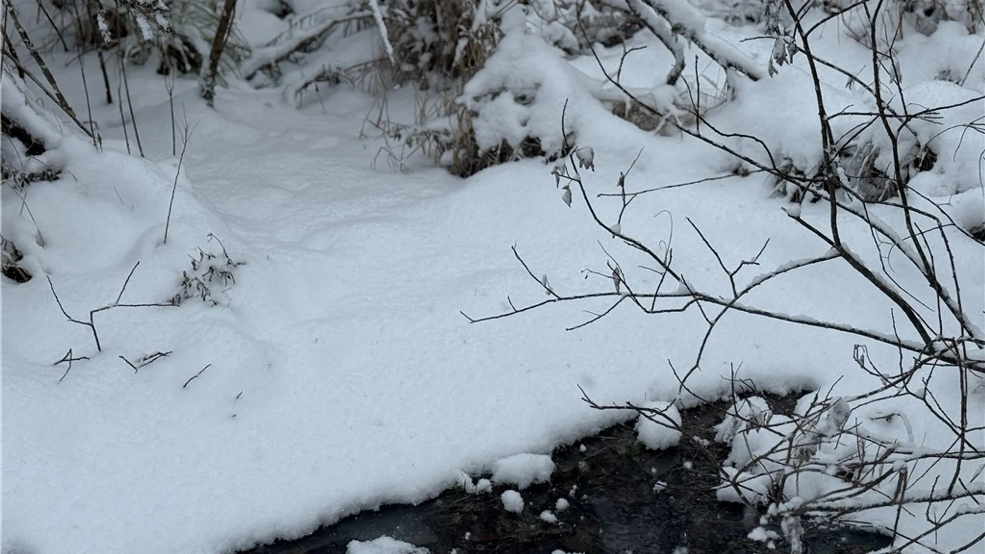 Property at Eddy Road, Theresa, NY 13691 32