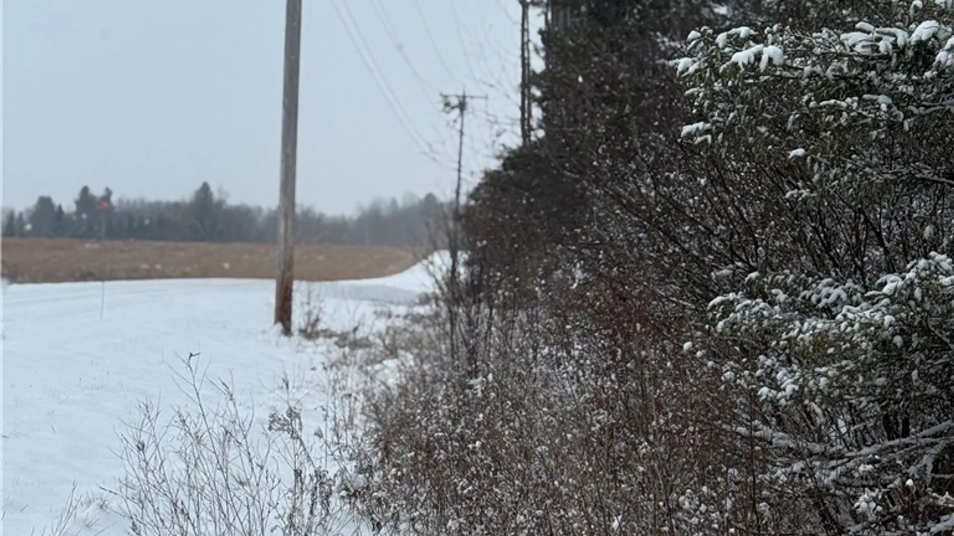 Property at Eddy Road, Theresa, NY 13691 35