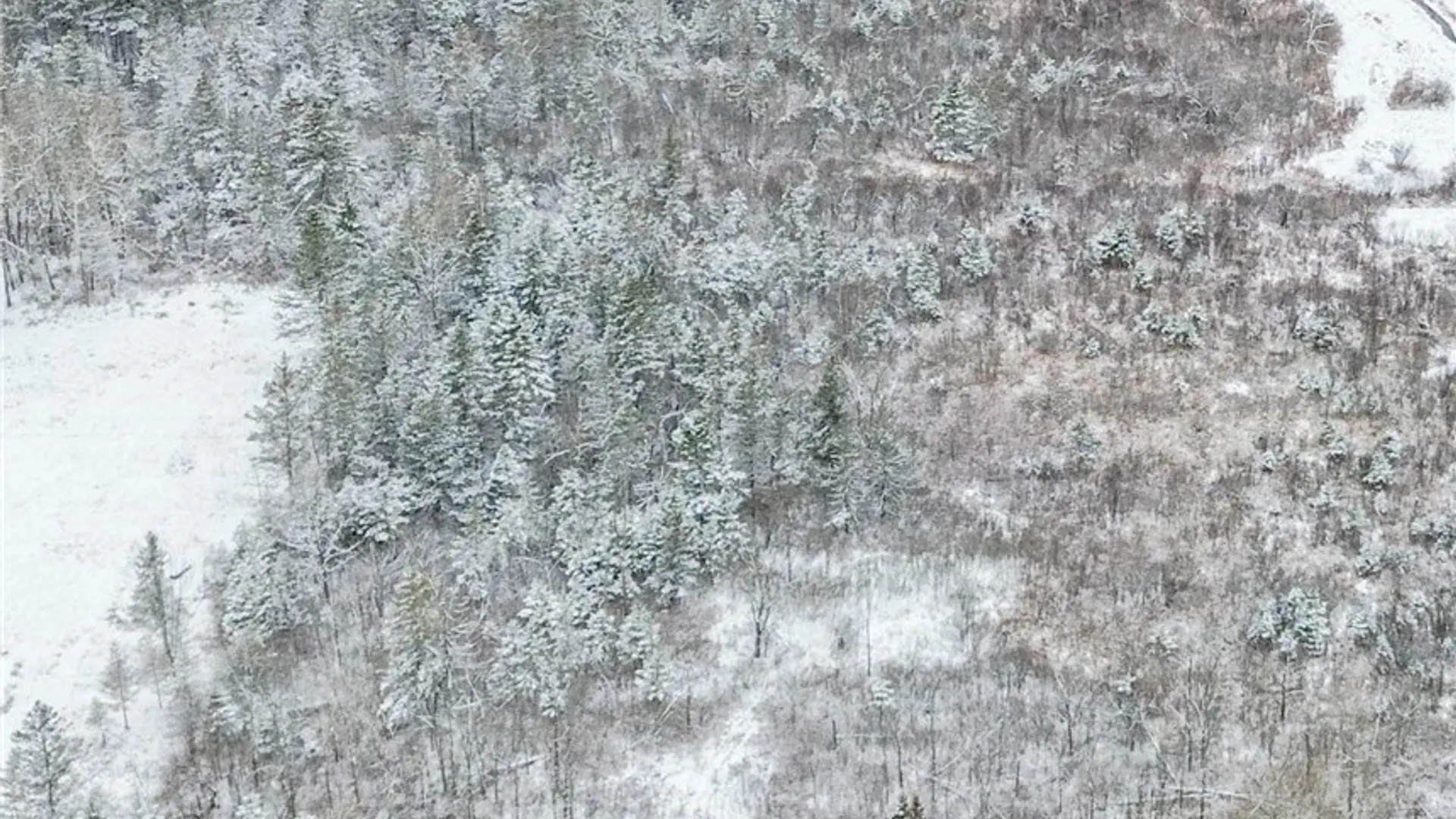 Property at Eddy Road, Theresa, NY 13691 4