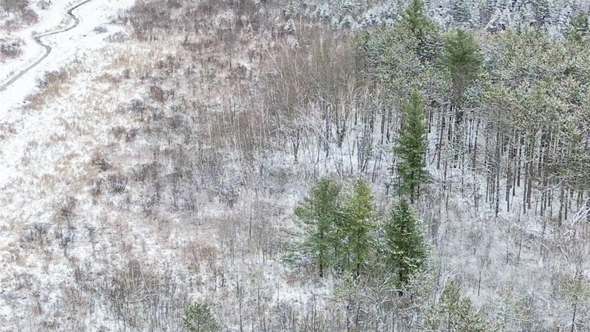 Property at Eddy Road, Theresa, NY 13691 5