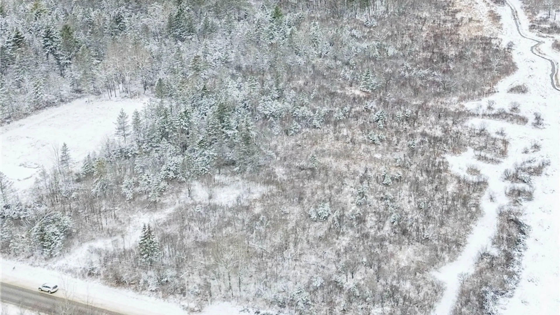 Property at Eddy Road, Theresa, NY 13691 6