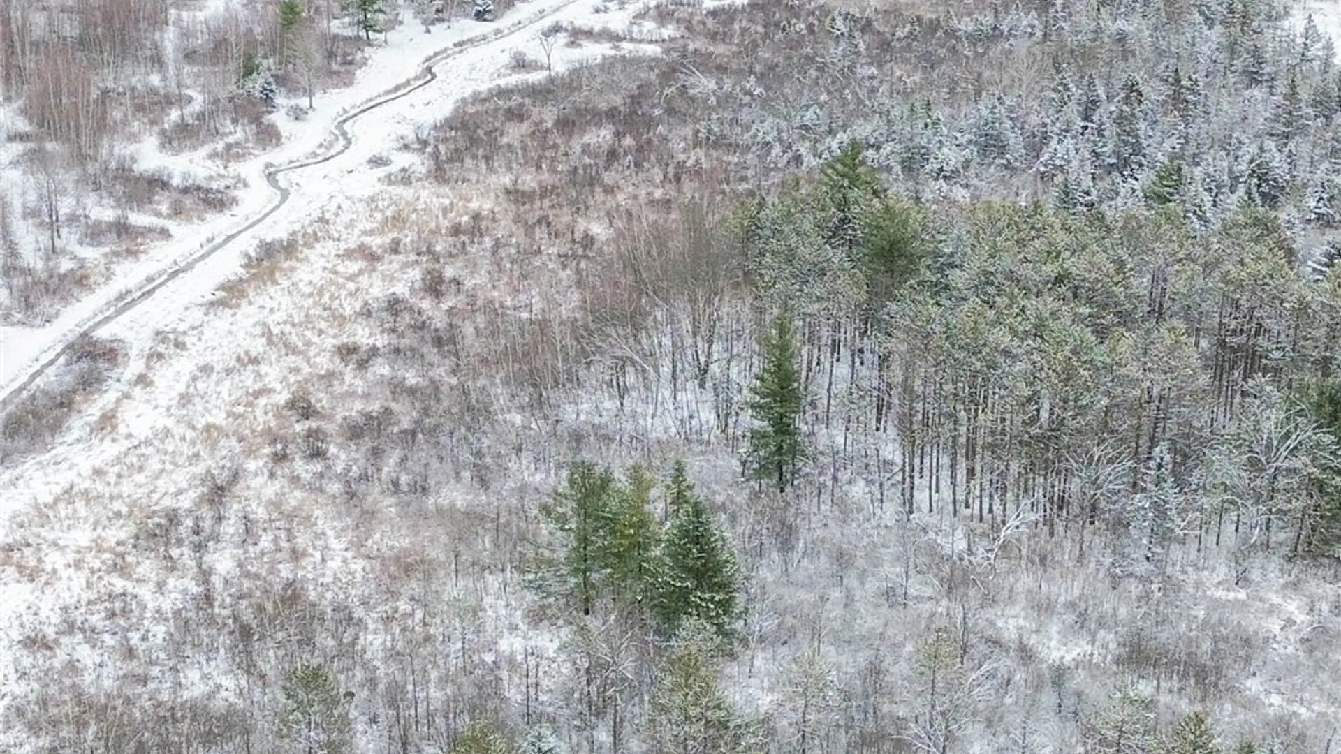 Property at Eddy Road, Theresa, NY 13691 7