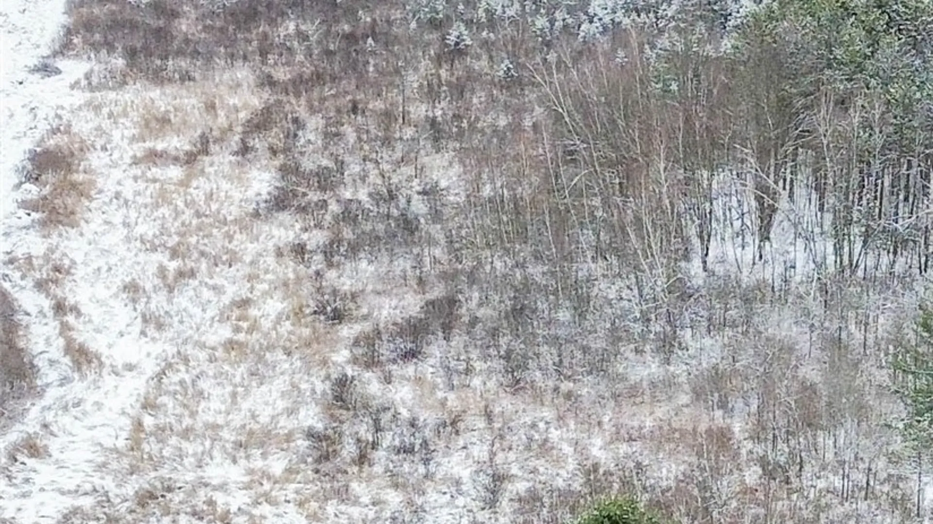 Property at Eddy Road, Theresa, NY 13691 8