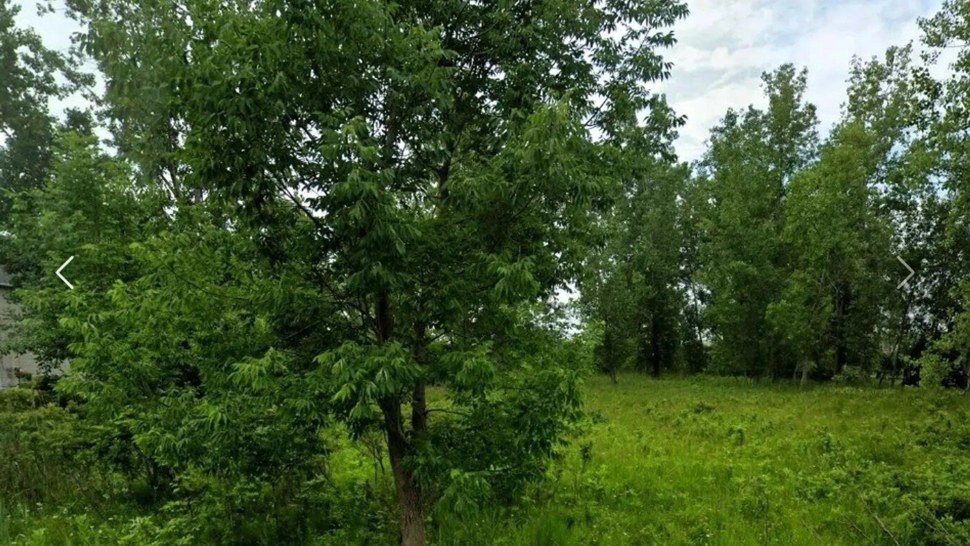 Property at 445 Seneca Creek Road, West Seneca, NY 14224 2