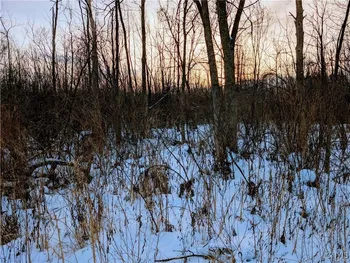 Property at Manlius Road, Manlius, NY 13082