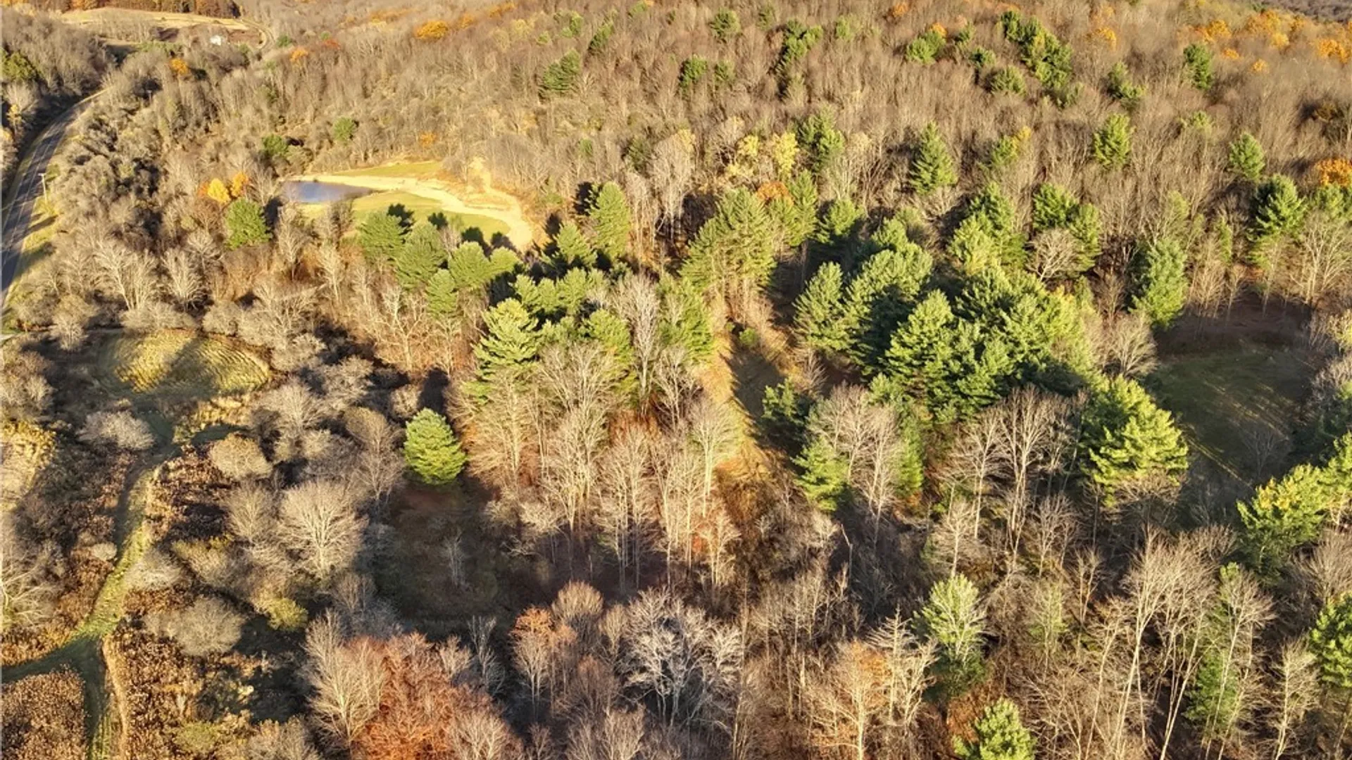 Property at Co Rd 8, Wirt, NY 14739 12