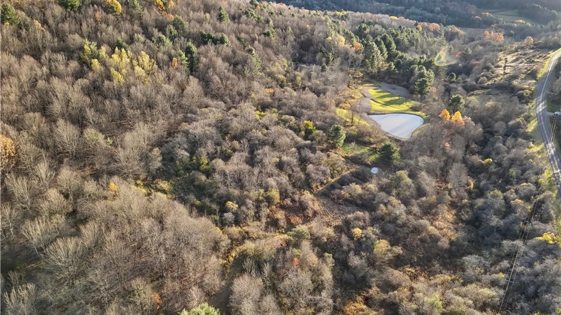 Property at Co Rd 8, Wirt, NY 14739 13