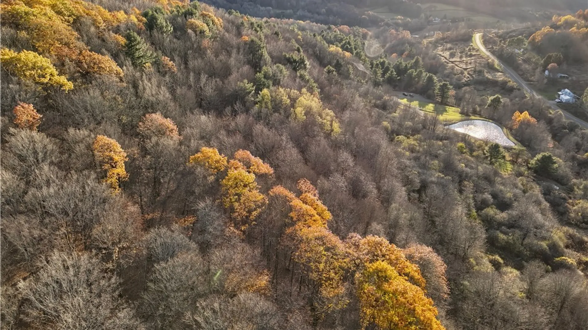 Property at Co Rd 8, Wirt, NY 14739 17