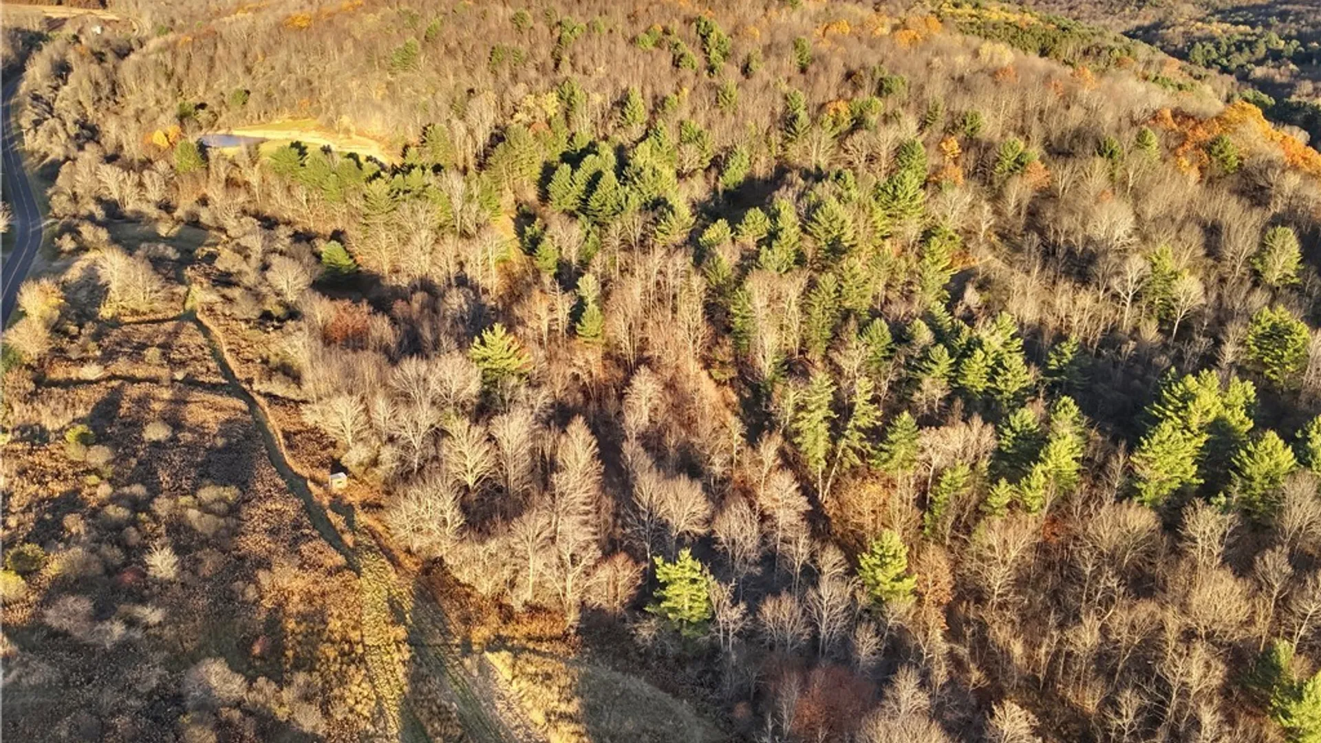 Property at Co Rd 8, Wirt, NY 14739 19