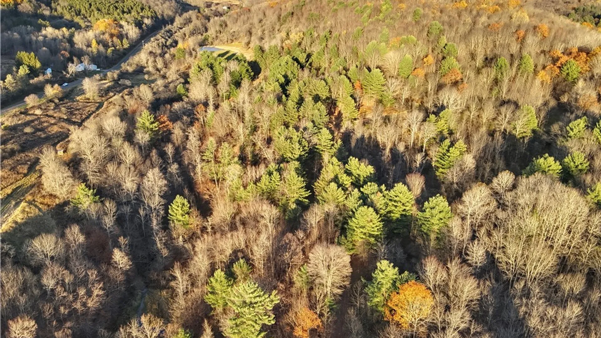 Property at Co Rd 8, Wirt, NY 14739 20