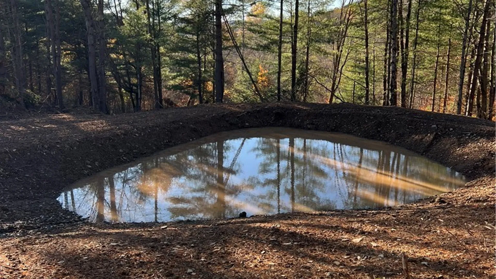 Property at Co Rd 8, Wirt, NY 14739 4