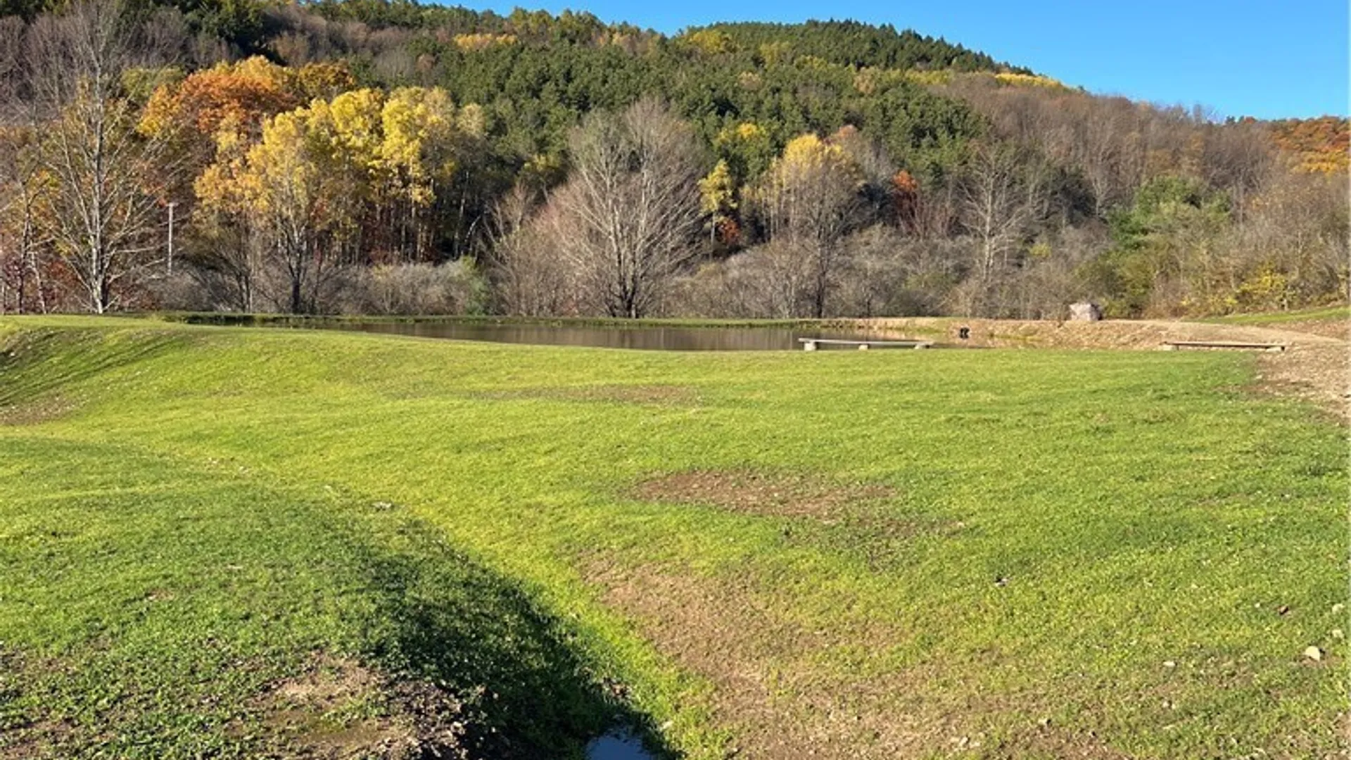 Property at Co Rd 8, Wirt, NY 14739 5