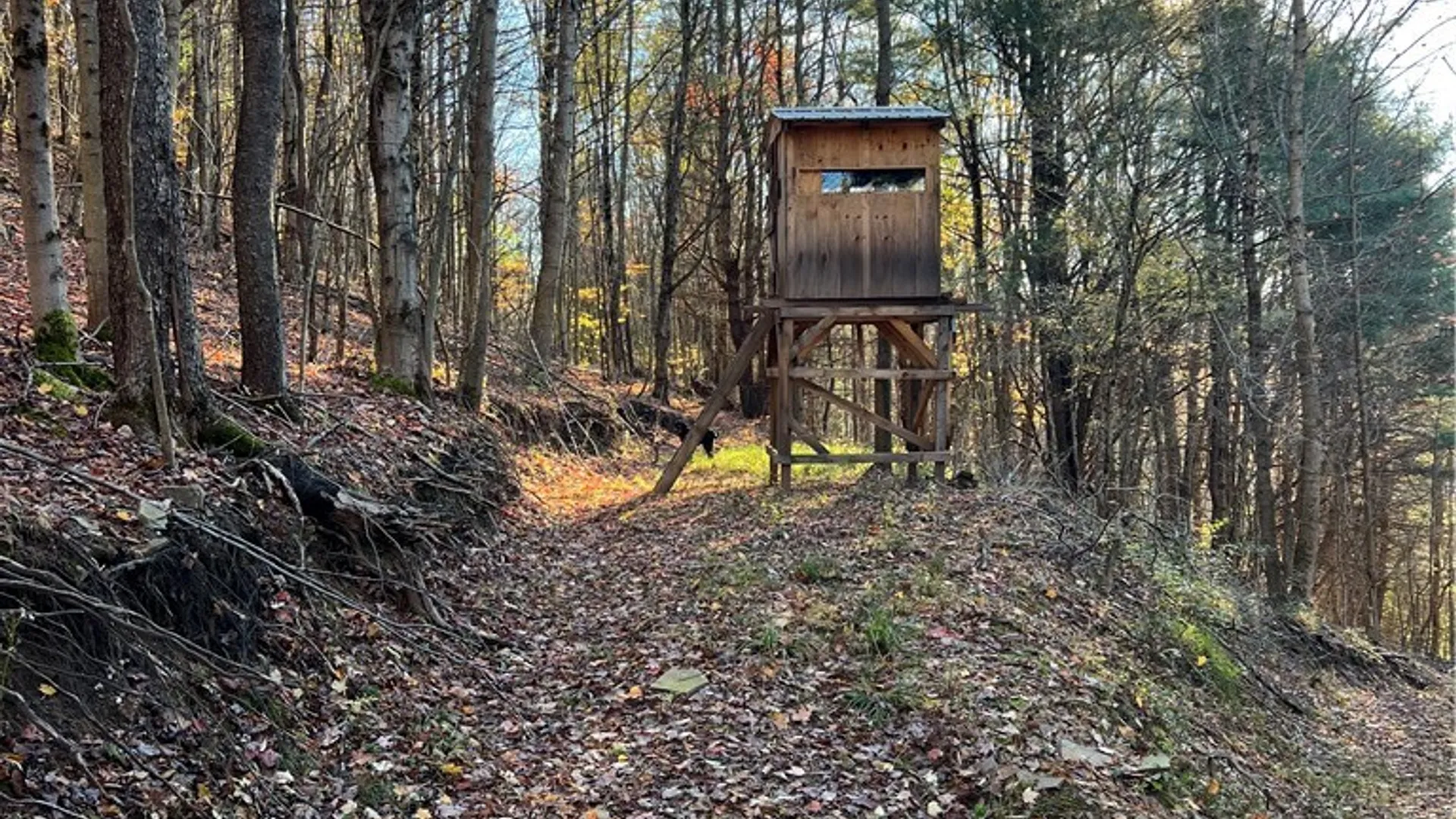 Property at Co Rd 8, Wirt, NY 14739 7