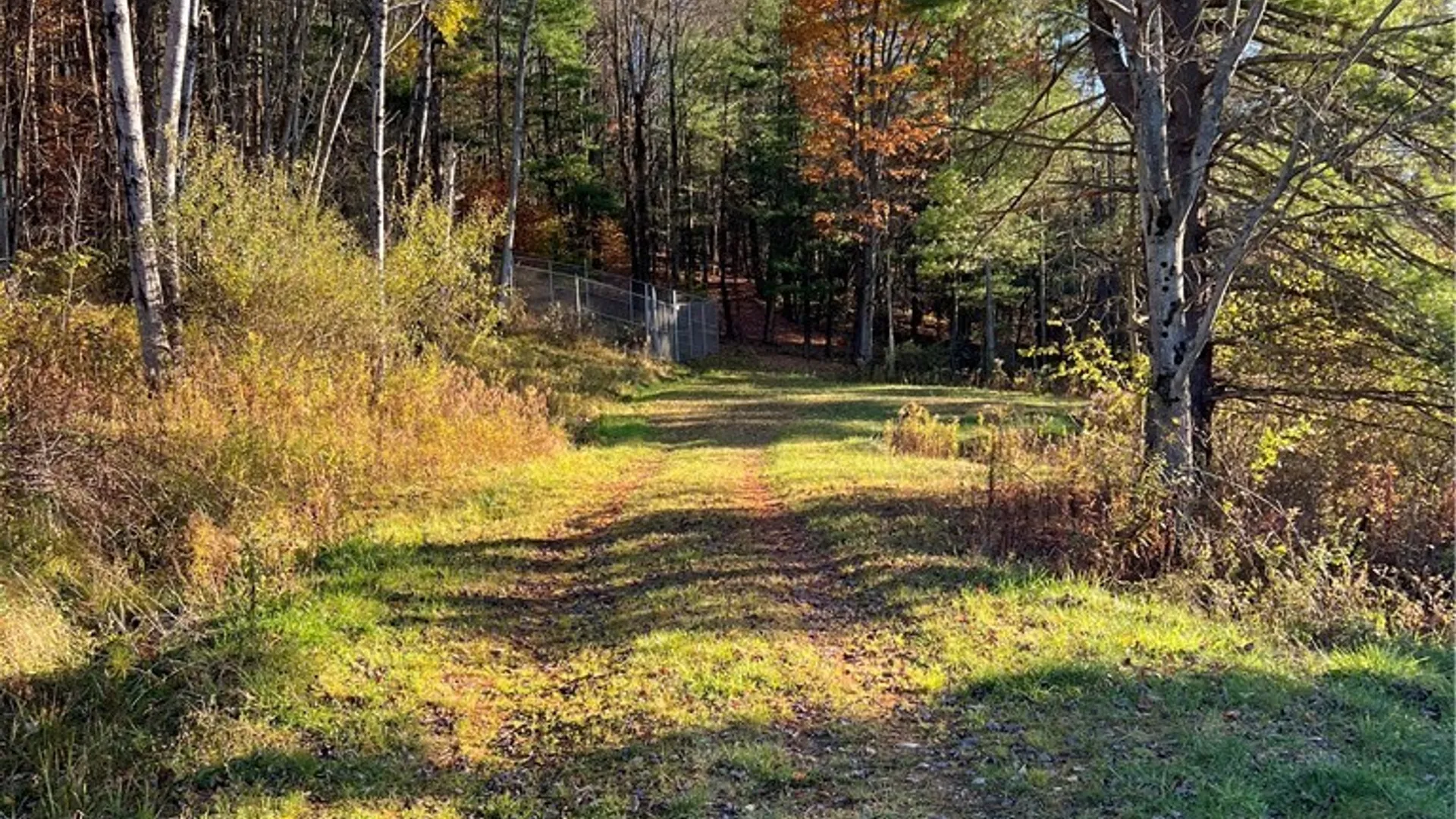 Property at Co Rd 8, Wirt, NY 14739 9