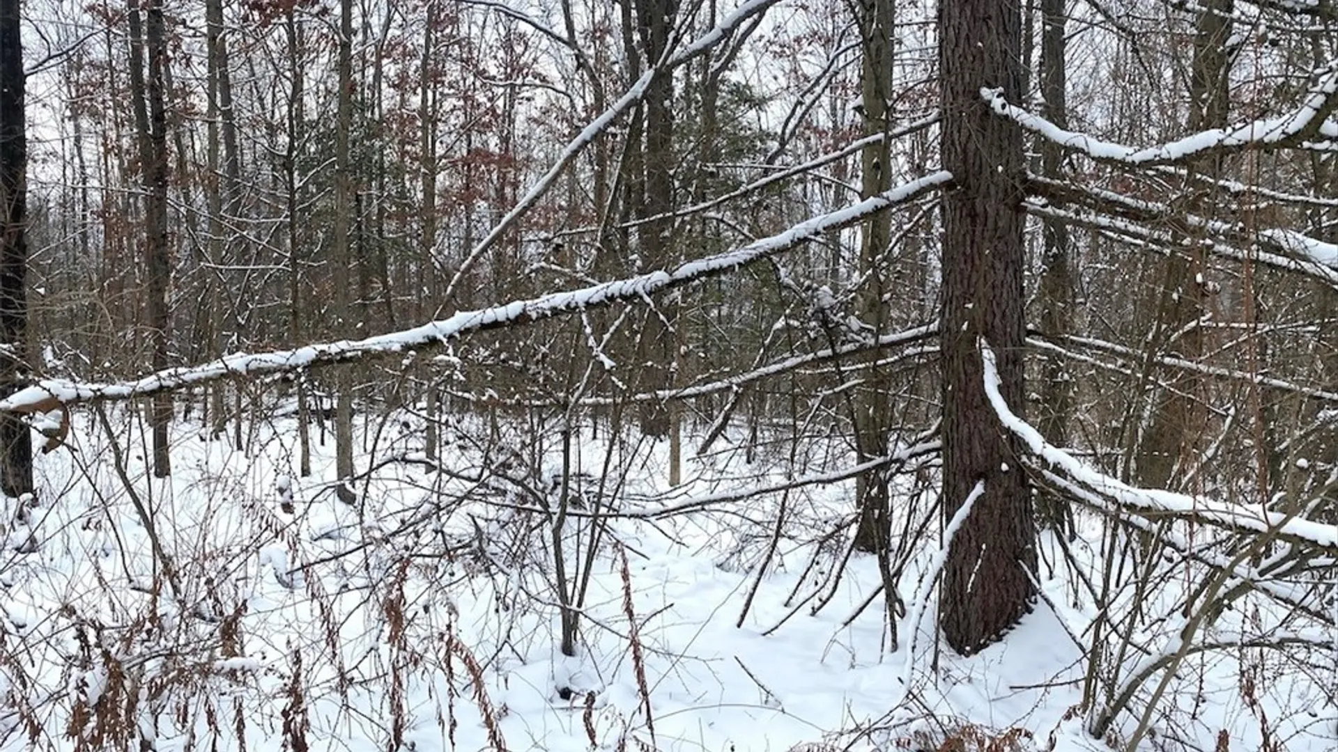 Property at River Road, Amity, NY 14813 11