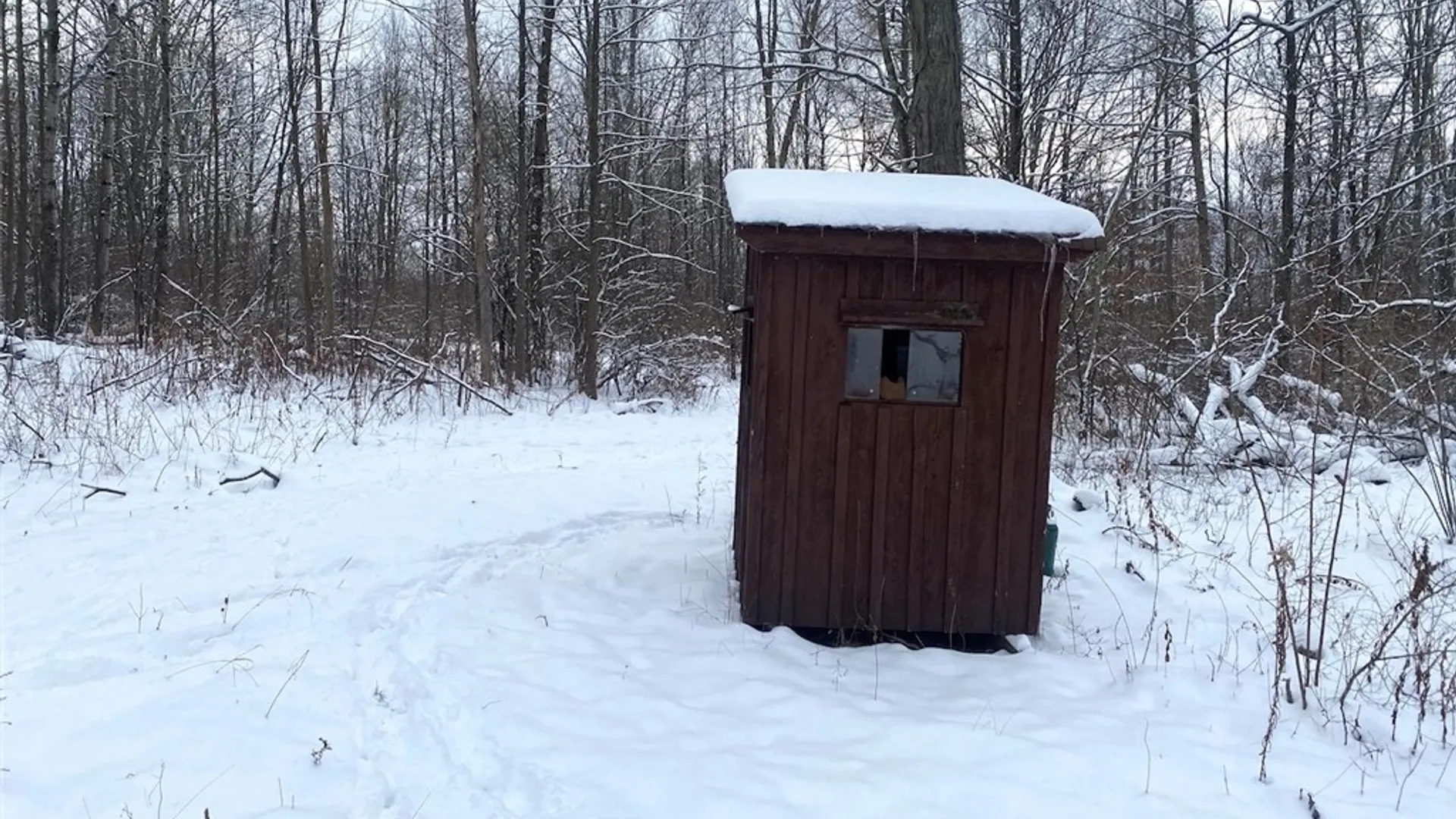 Property at River Road, Amity, NY 14813 2