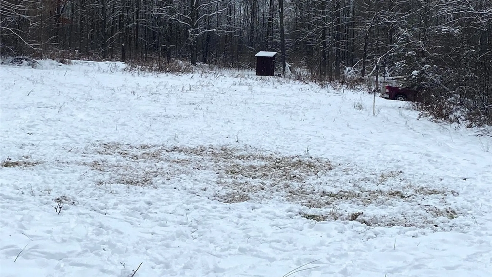 Property at River Road, Amity, NY 14813 3