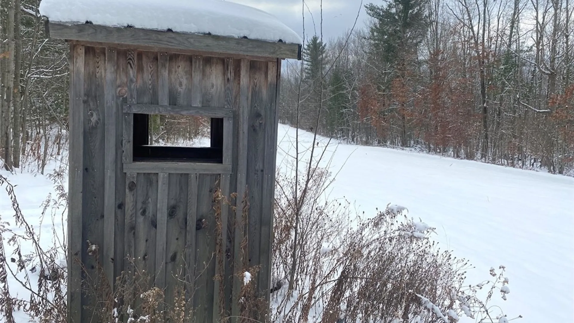 Property at River Road, Amity, NY 14813 5