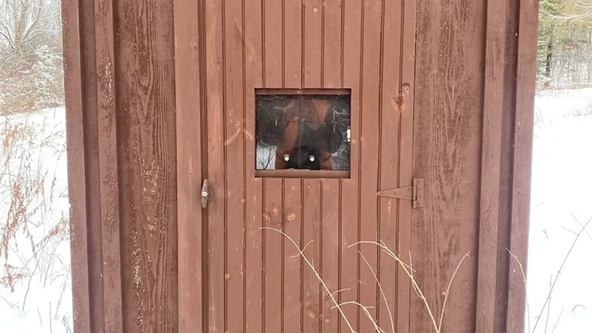 Property at River Road, Amity, NY 14813 6