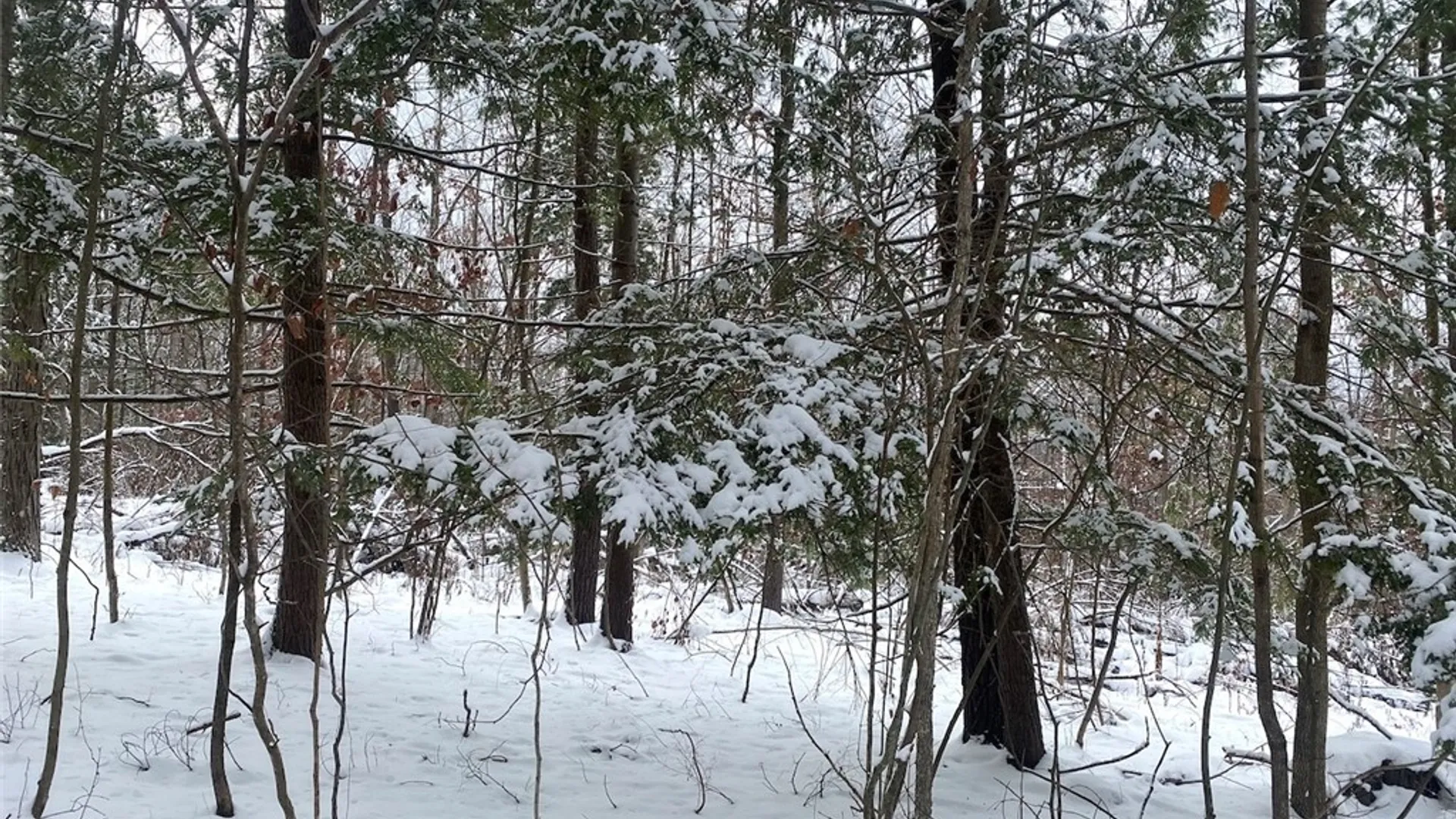 Property at River Road, Amity, NY 14813 7