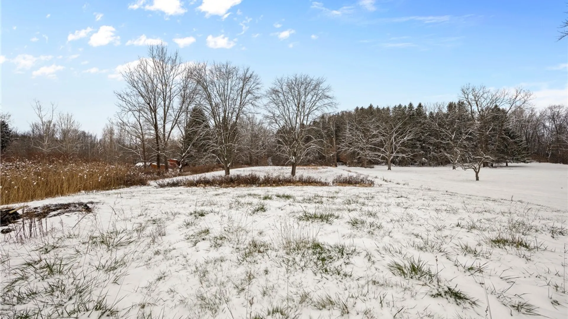 Property at 2466 Reed Road, Waterloo, NY 13165 37