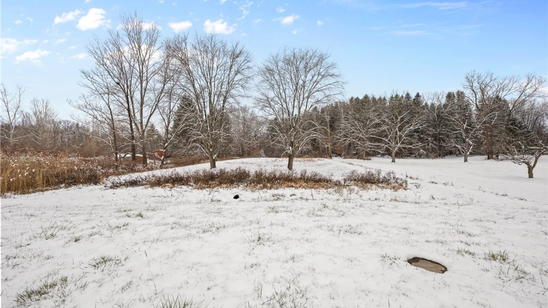 Property at 2466 Reed Road, Waterloo, NY 13165 39