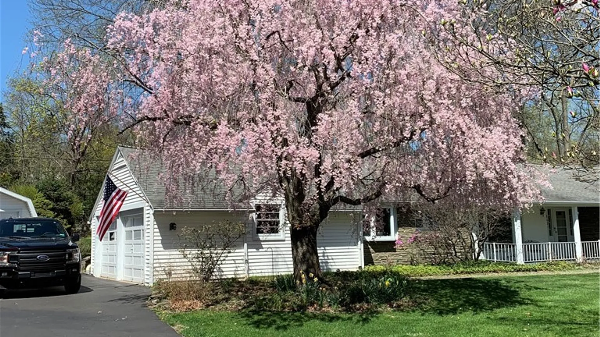 Property at 862 Fassett Road, Elmira, NY 14905 36