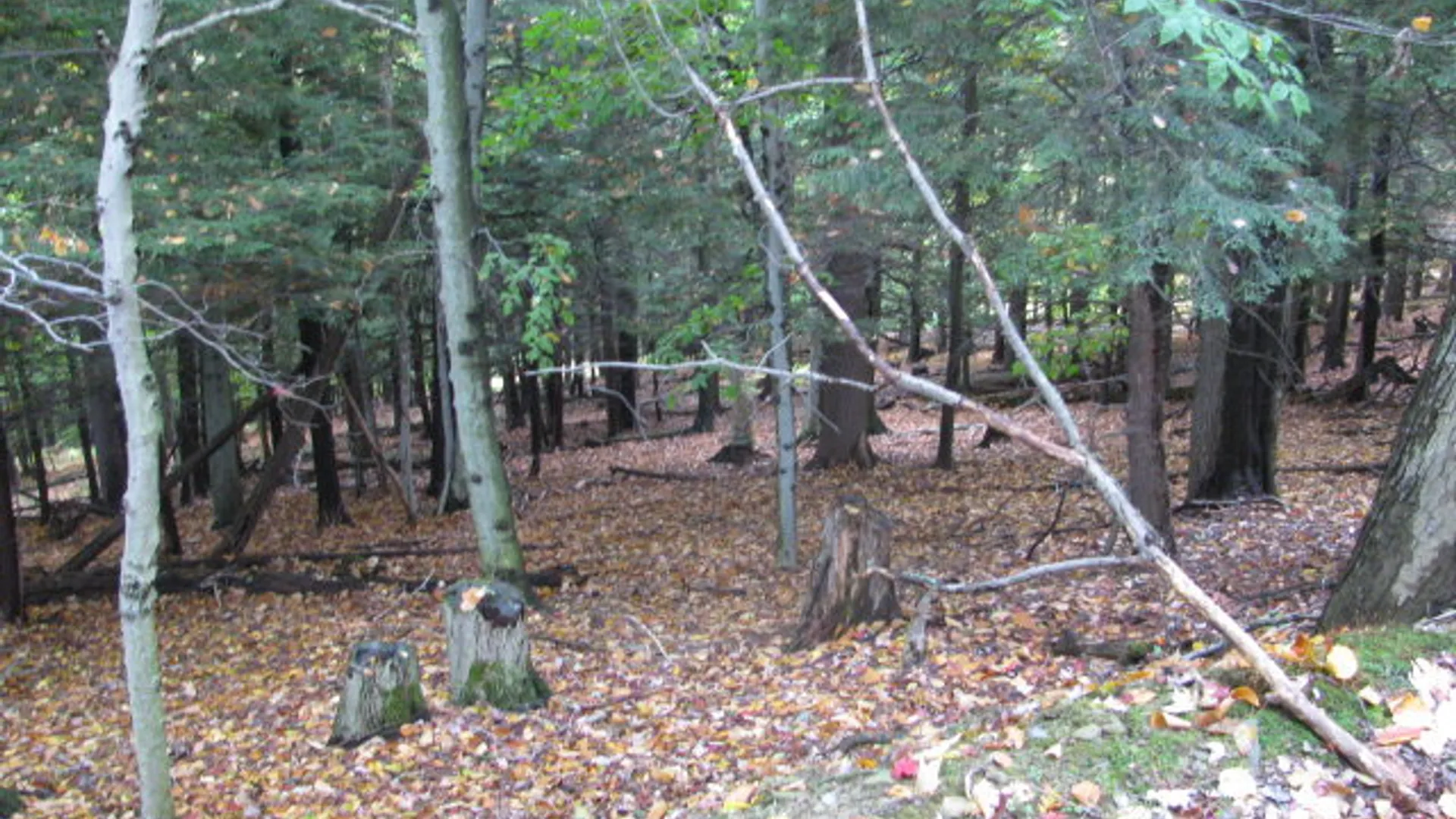 Property at 62054 State Route 415, Cohocton, NY 14826 2