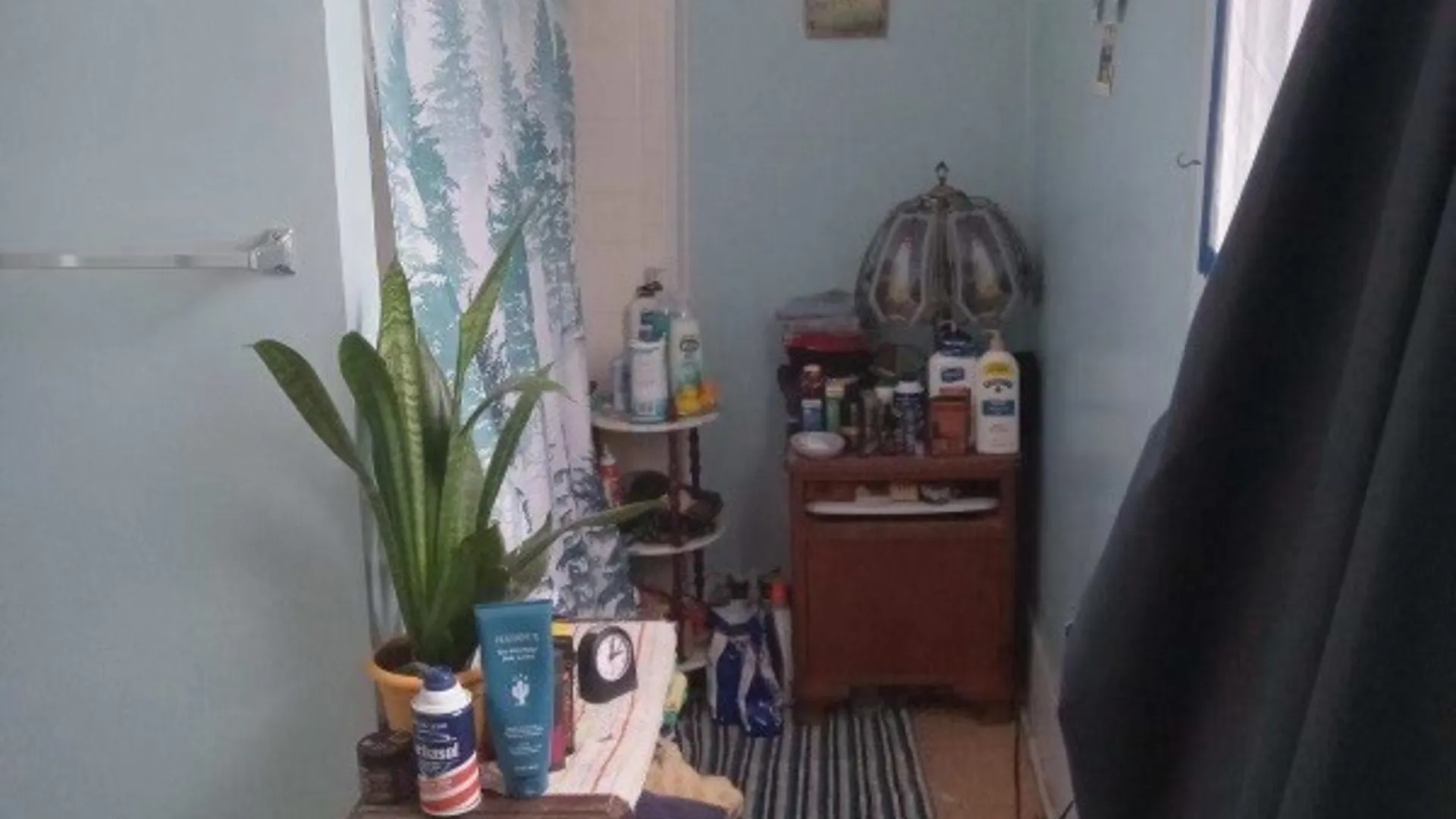 Property at 26 Main Street, Concord, NY 14141 37