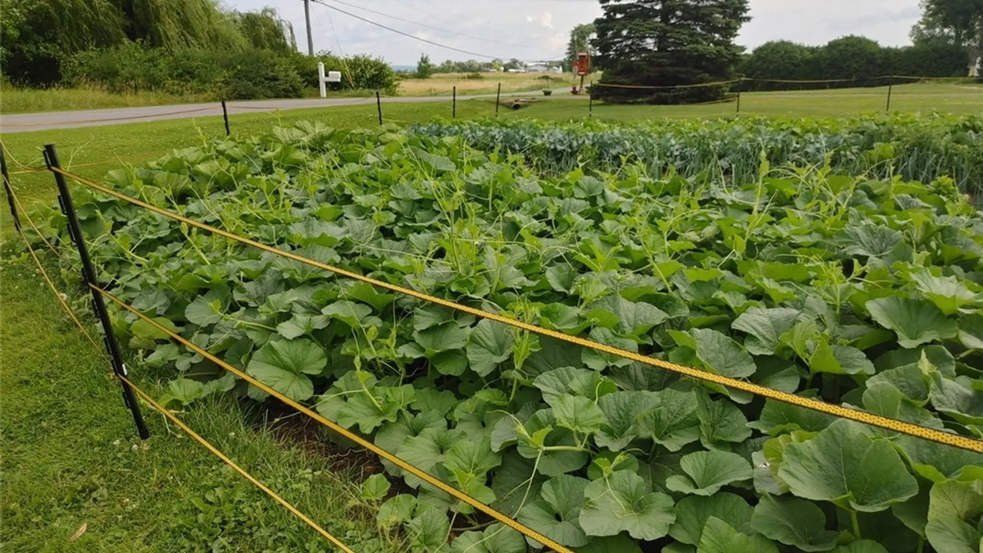 Property at 208 River Road, Hammond, NY 13646 44