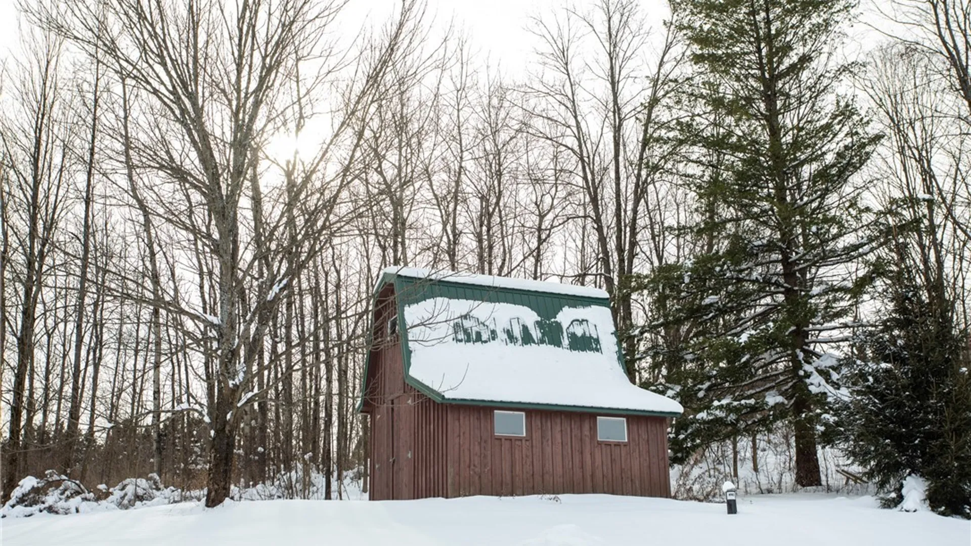 Property at 8397 Rohr Hill Road, East Otto, NY 14729 25