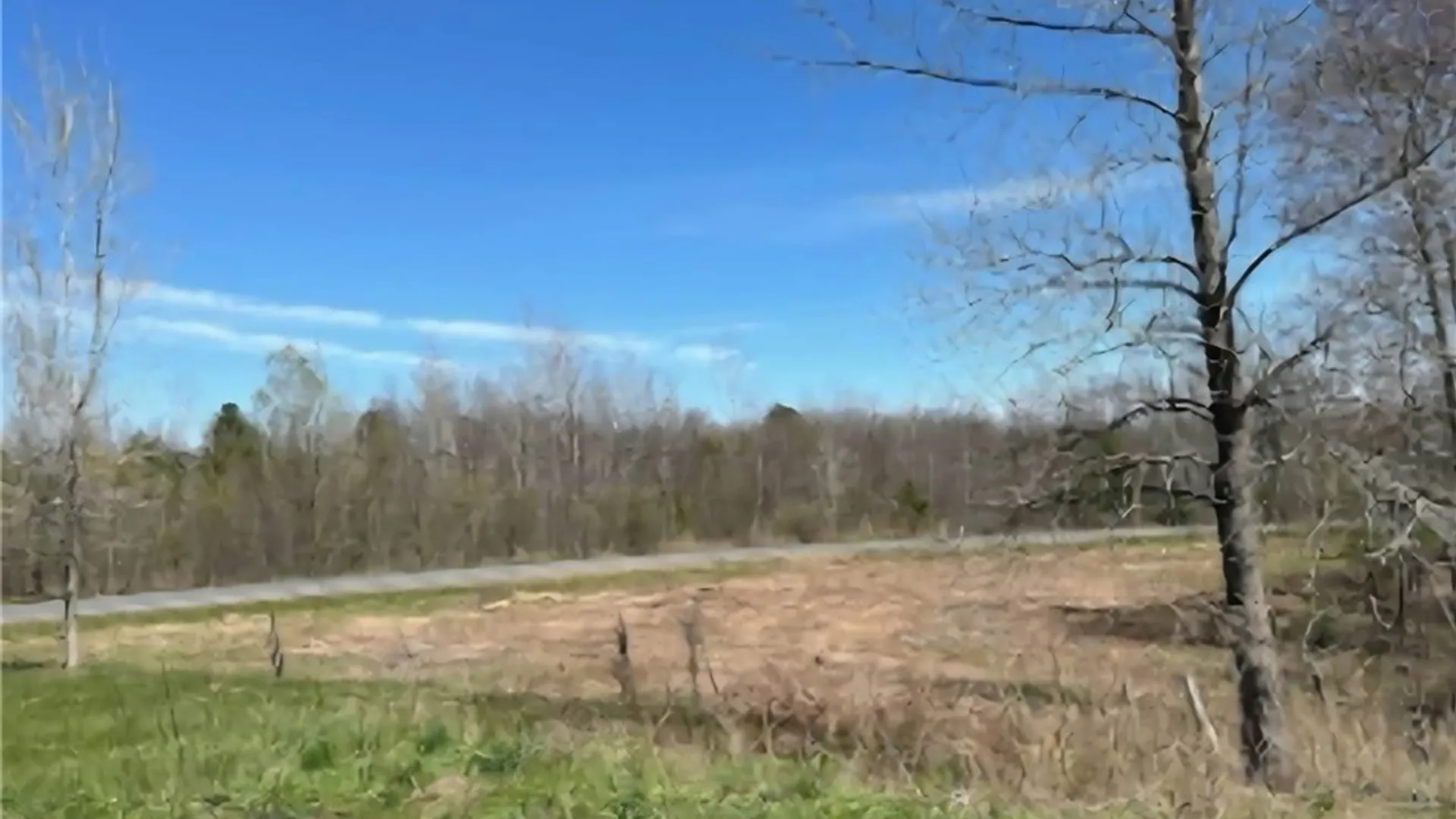 Property at 6 Belva Boulevard, Hastings, NY 13076 13