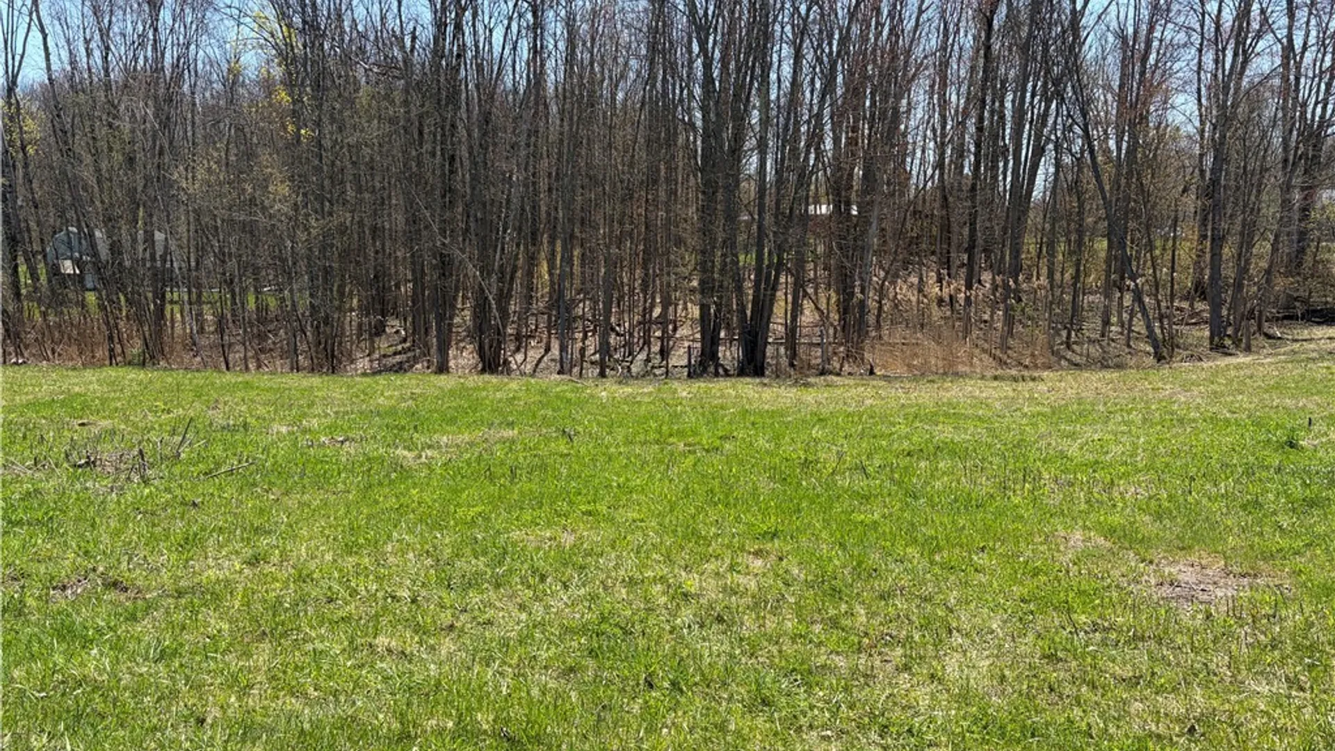 Property at 6 Belva Boulevard, Hastings, NY 13076 25