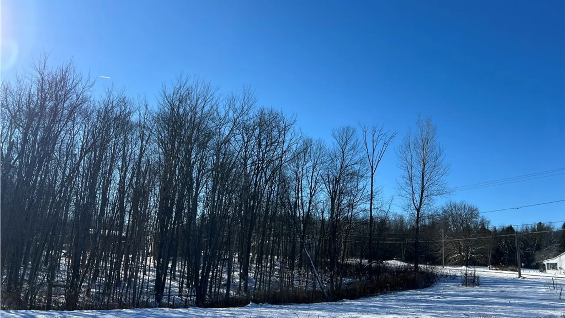 Property at 6 Belva Boulevard, Hastings, NY 13076 8