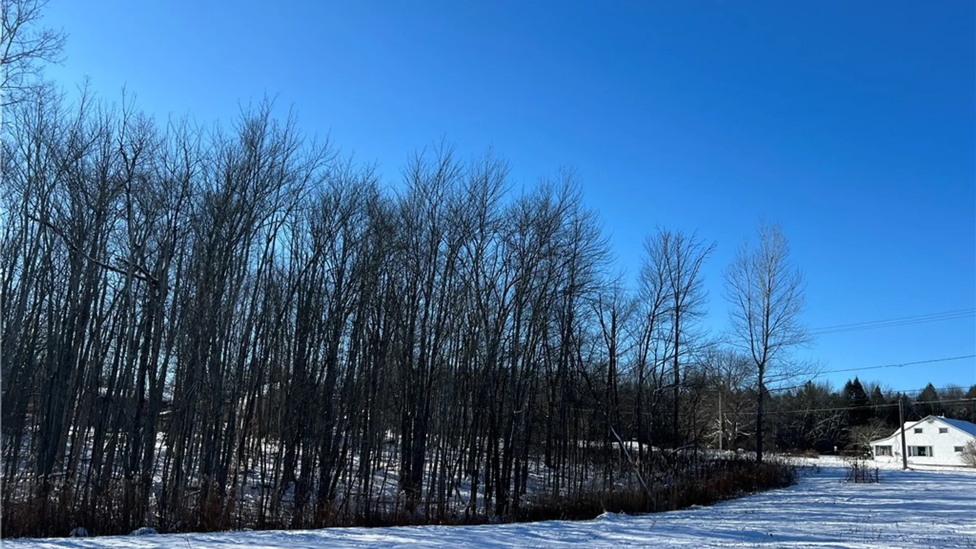 Property at 6 Belva Boulevard, Hastings, NY 13076 9