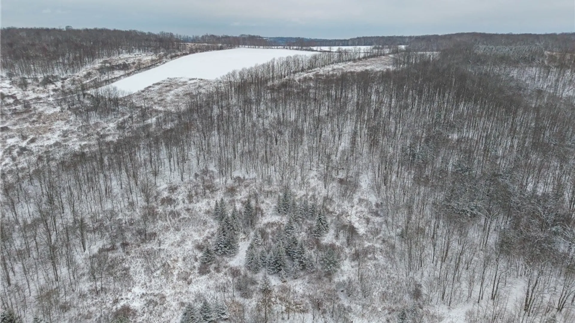 Property at 1870 Reiman Road, Greenwood, NY 14839 44