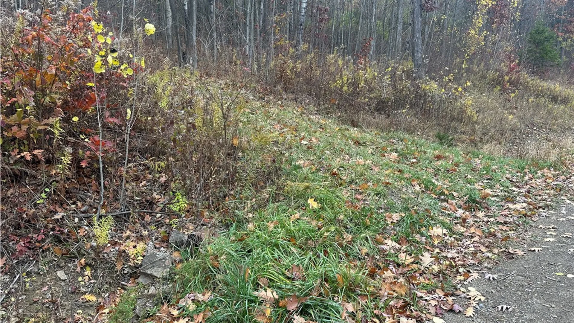 Property at VL Linkletter Road, Almond, NY 14807 14