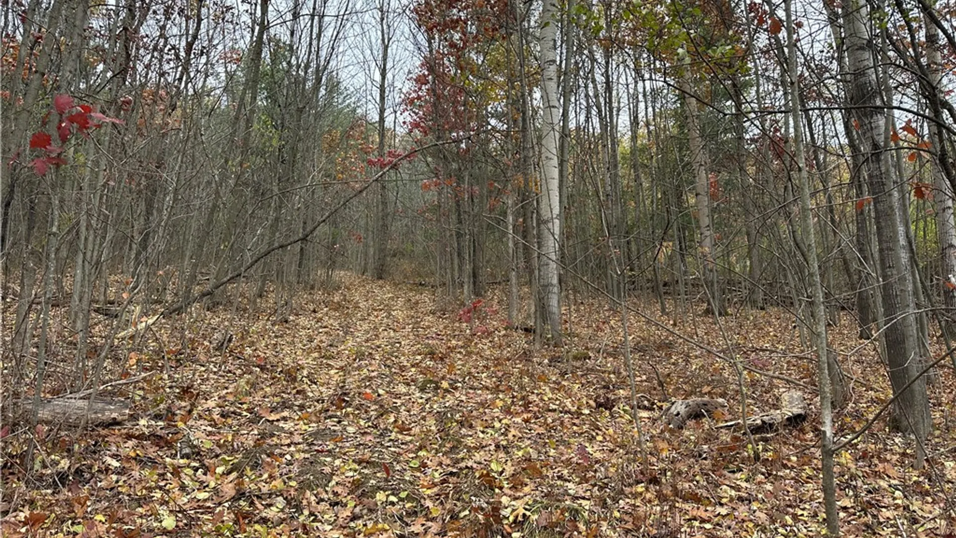 Property at VL Linkletter Road, Almond, NY 14807 16