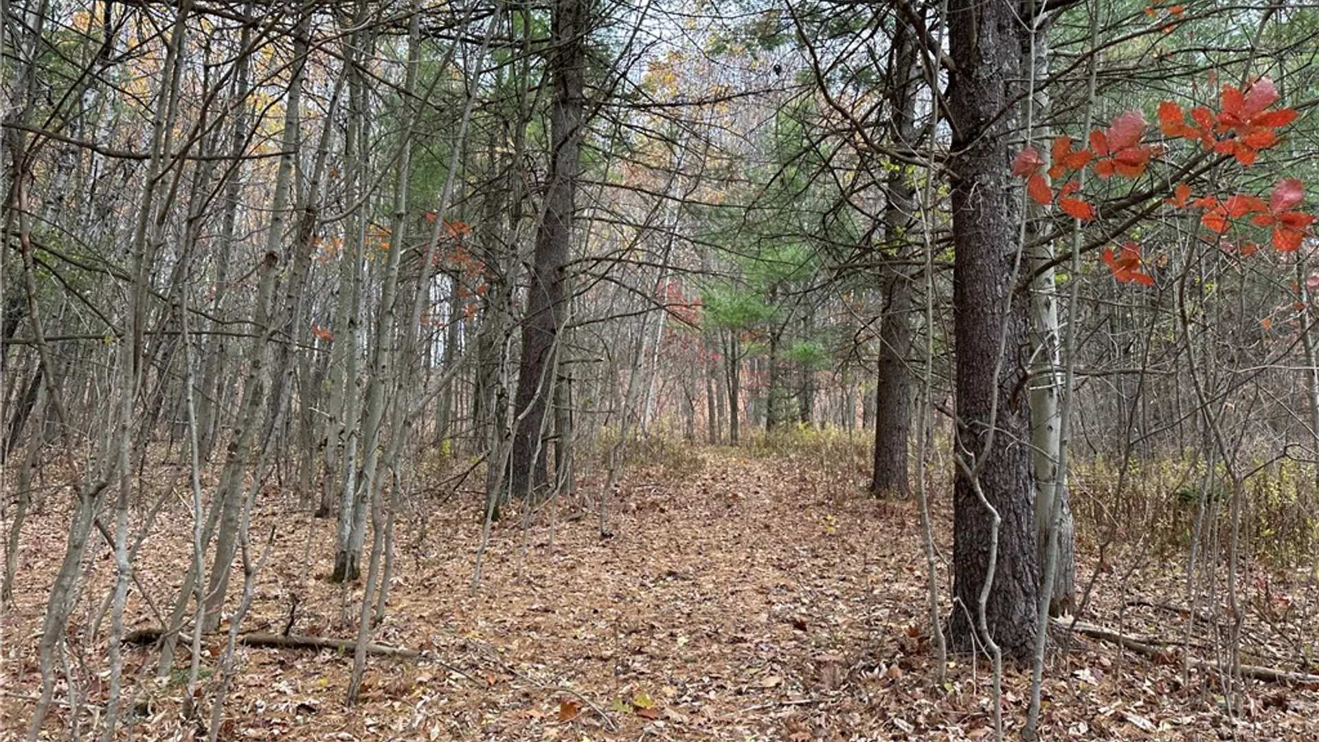 Property at VL Linkletter Road, Almond, NY 14807 17