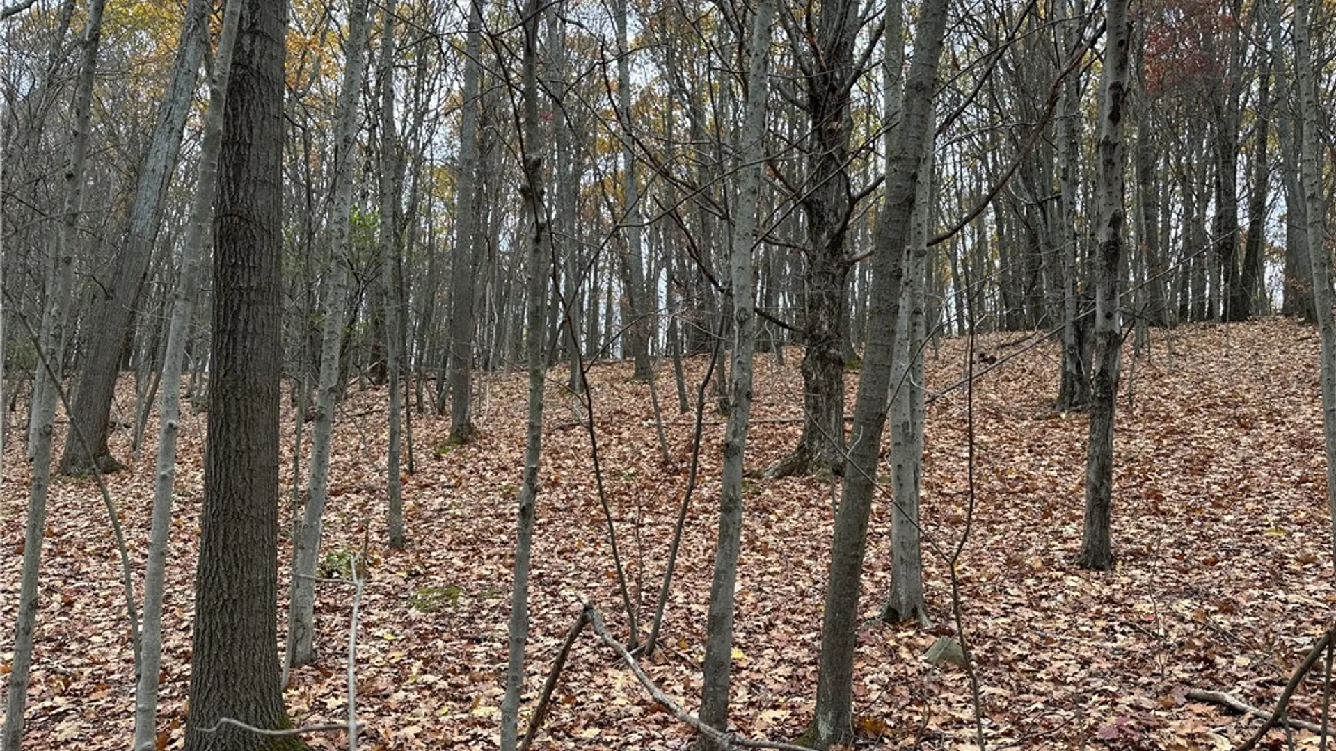 Property at VL Linkletter Road, Almond, NY 14807 18