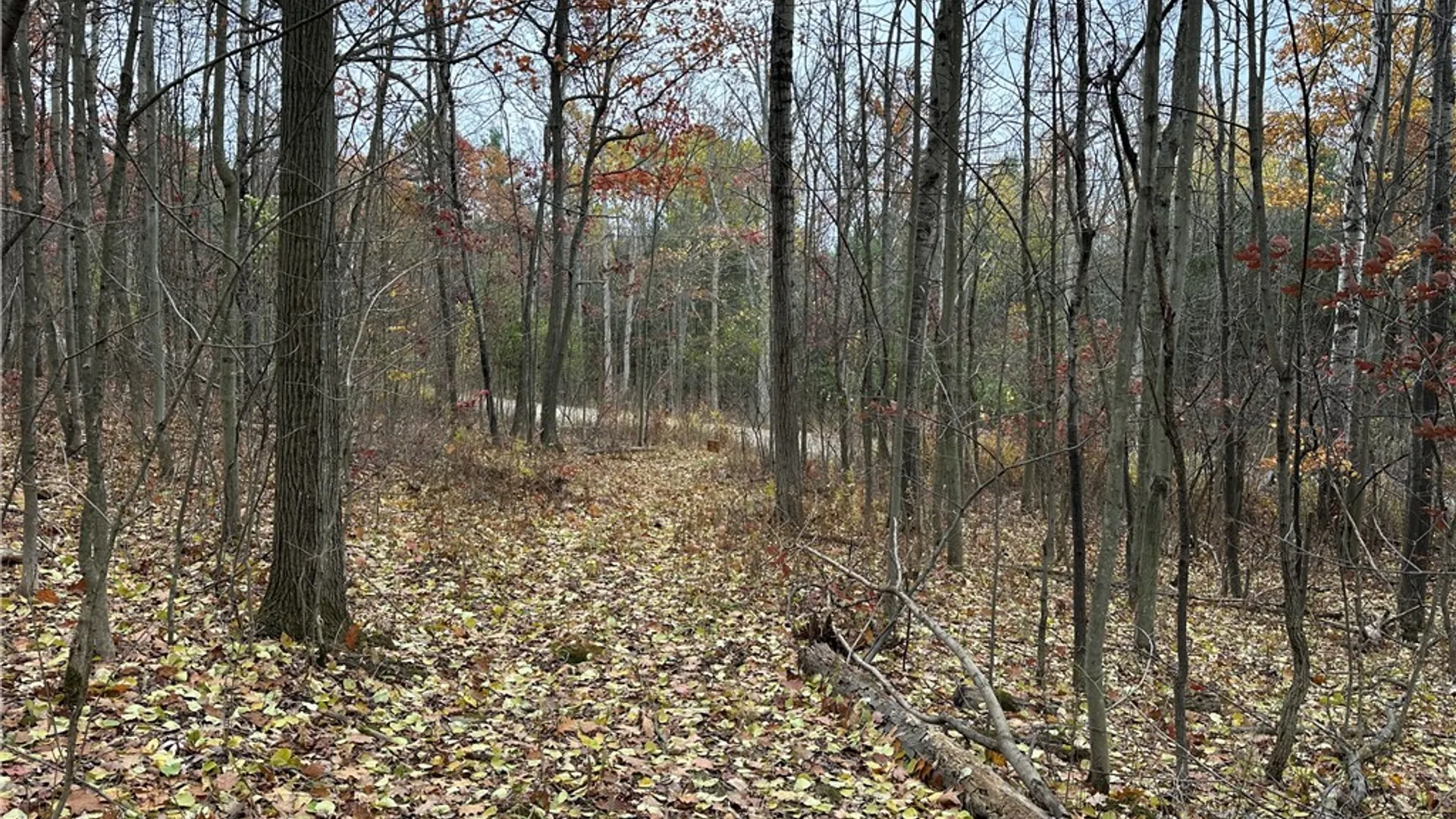 Property at VL Linkletter Road, Almond, NY 14807 19