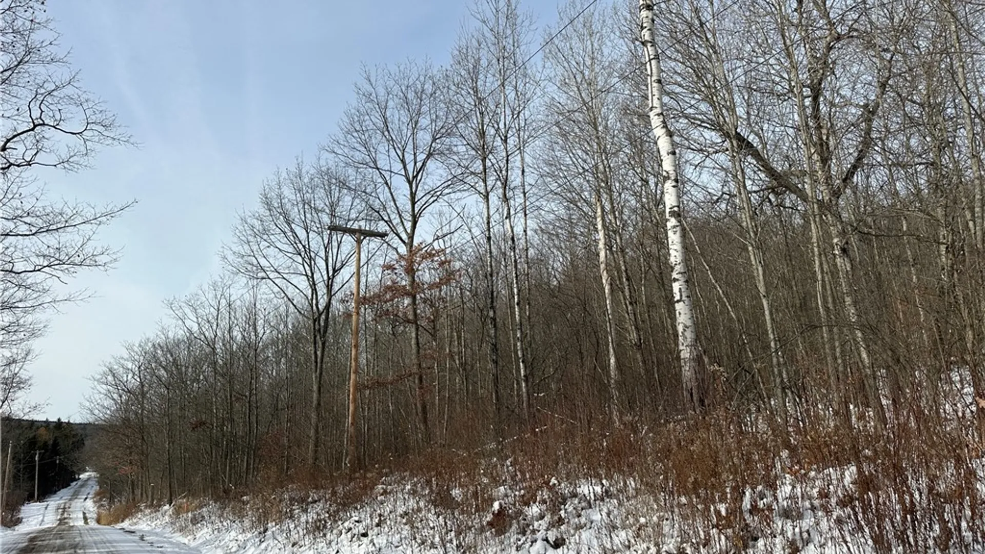 Property at VL Linkletter Road, Almond, NY 14807 2