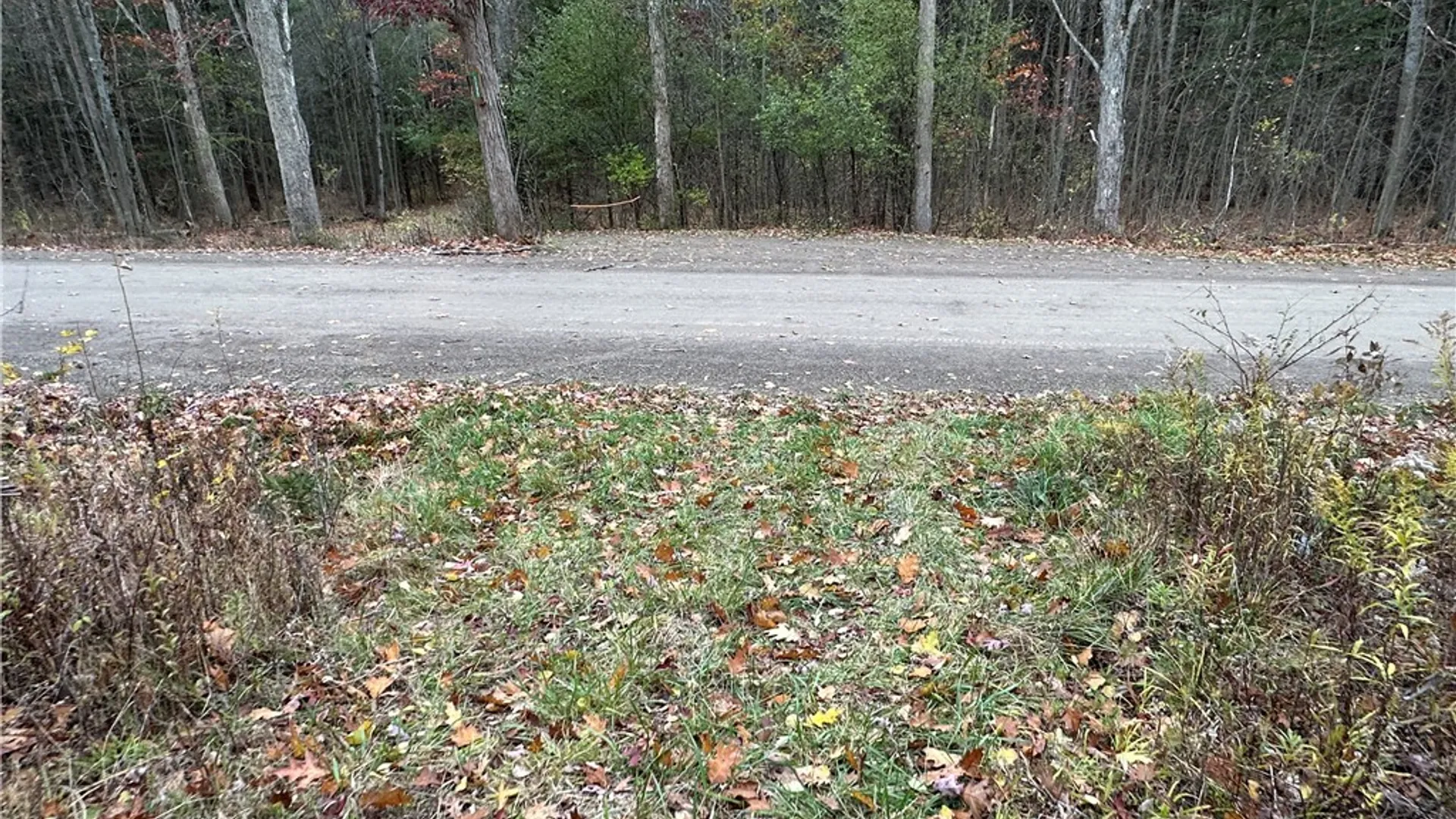 Property at VL Linkletter Road, Almond, NY 14807 21