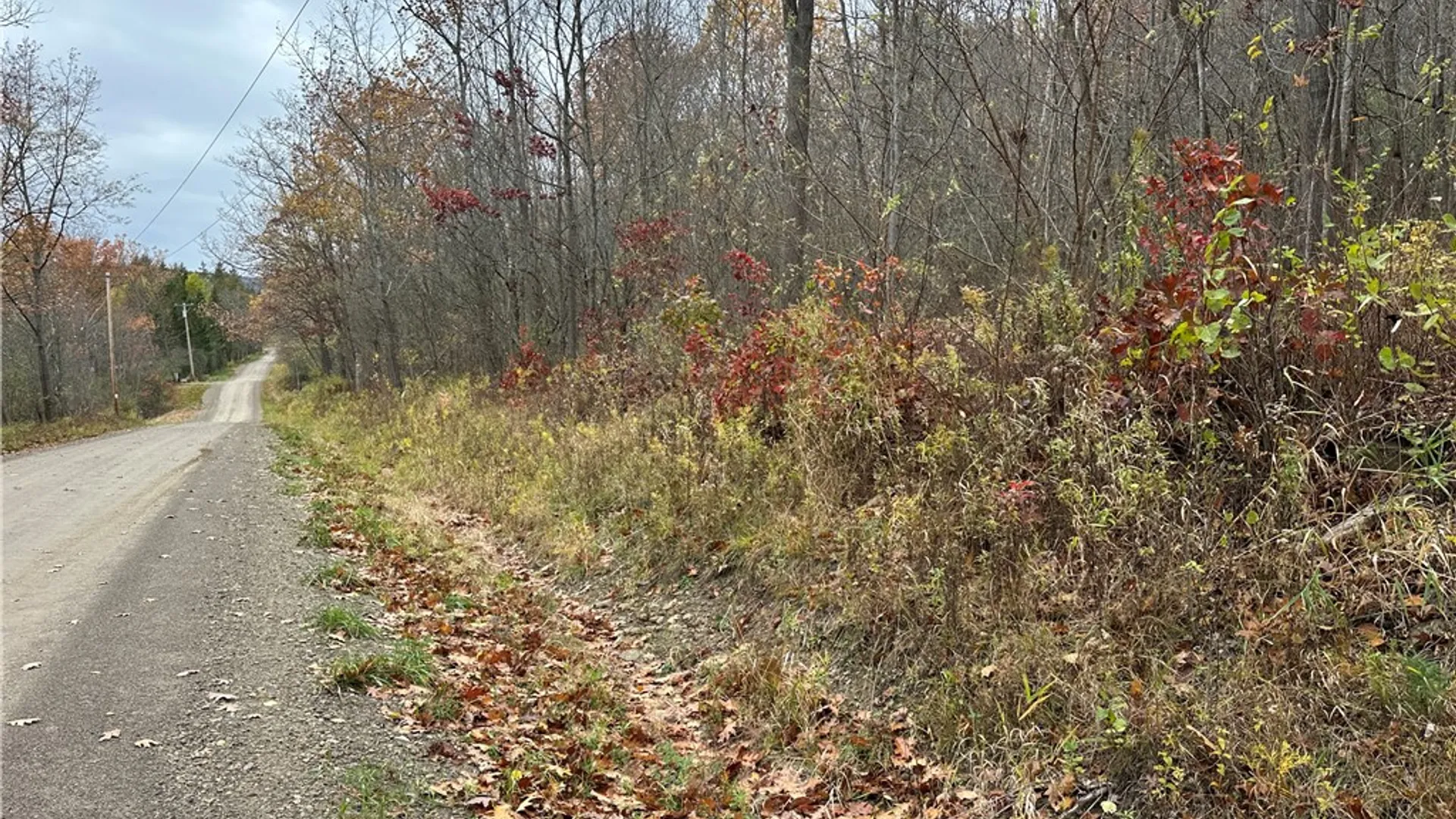 Property at VL Linkletter Road, Almond, NY 14807 23