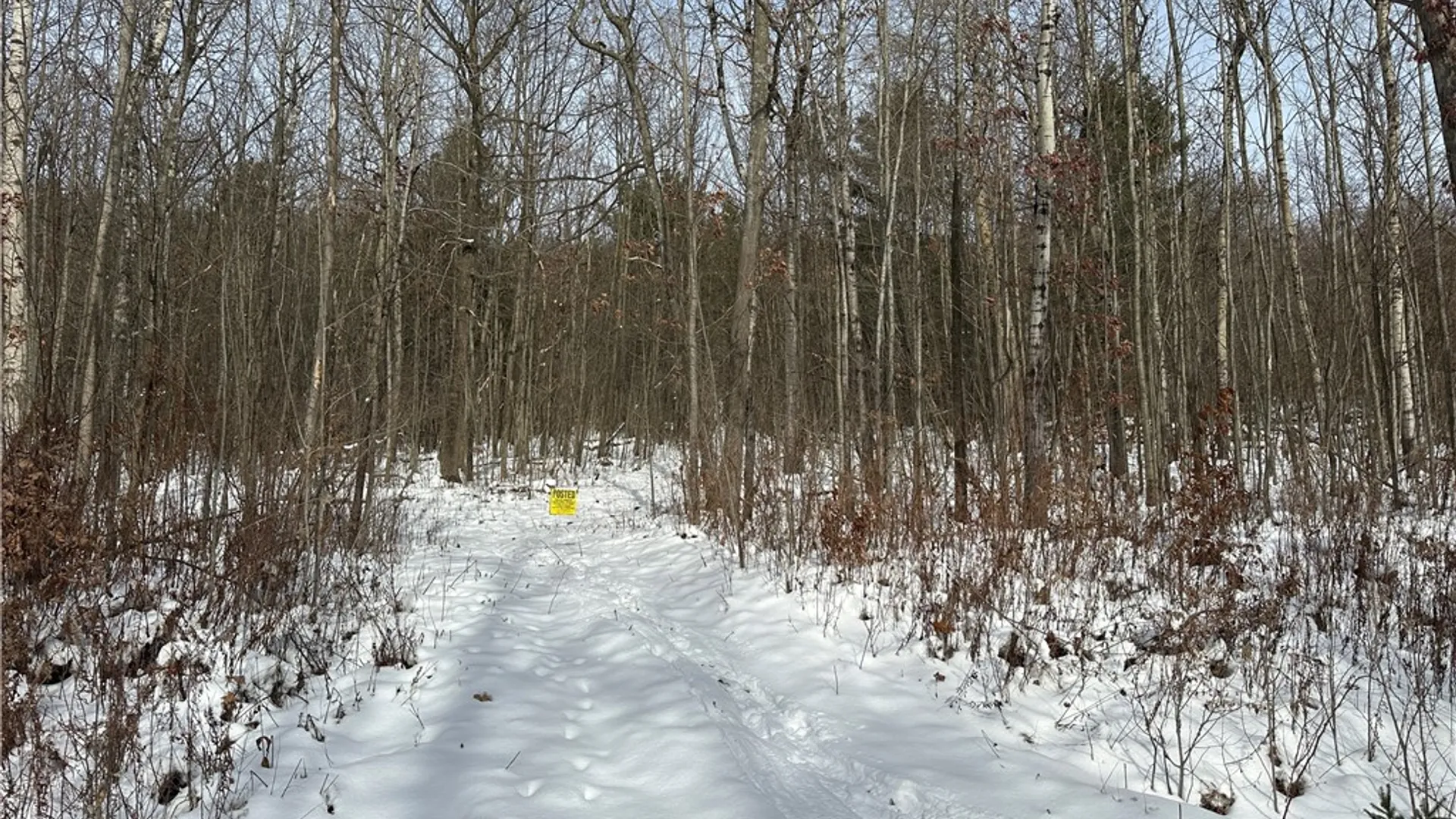 Property at VL Linkletter Road, Almond, NY 14807 24
