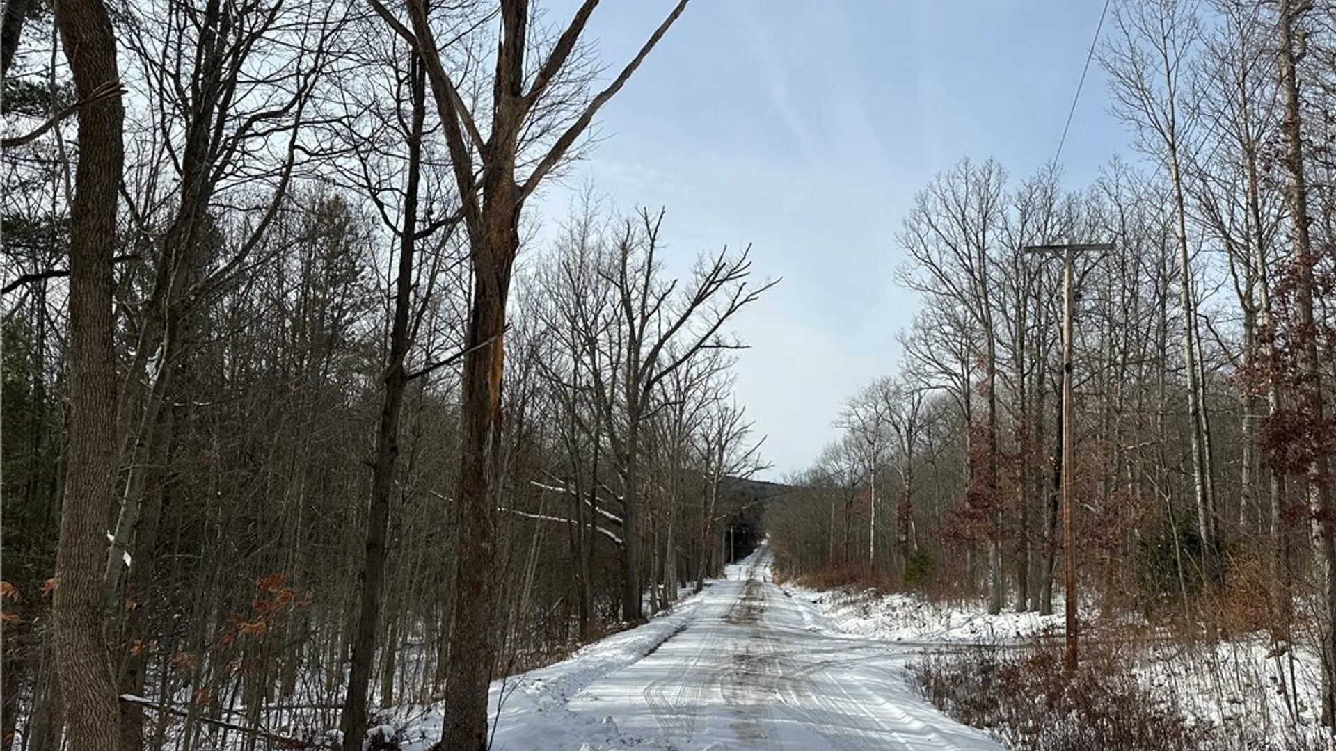 Property at VL Linkletter Road, Almond, NY 14807 25