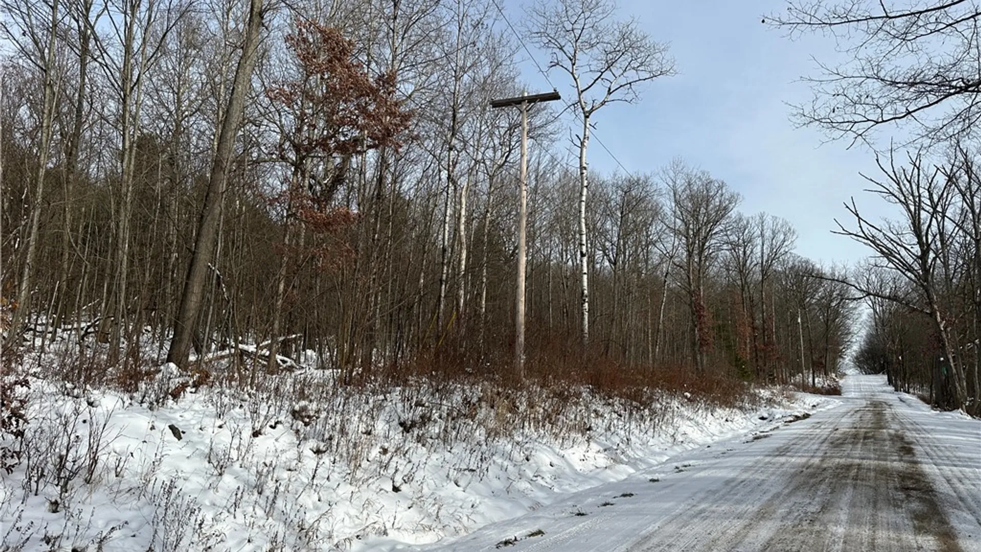 Property at VL Linkletter Road, Almond, NY 14807 26