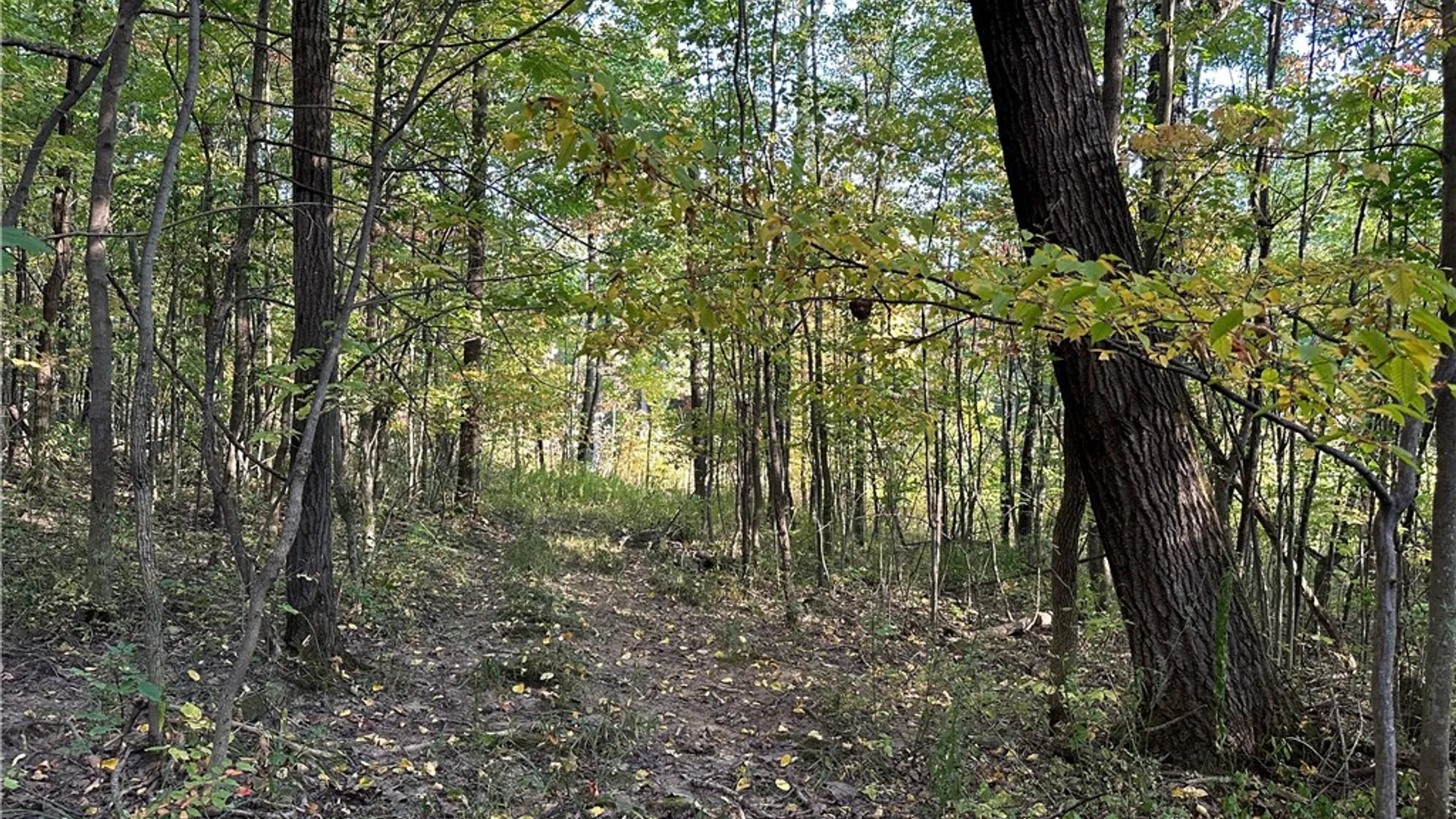 Property at VL Linkletter Road, Almond, NY 14807 3